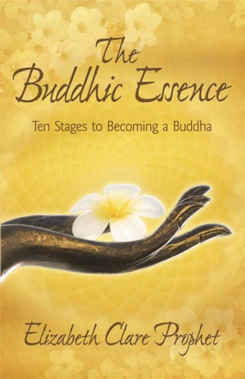 The Buddhic Essence: Ten Stages to Becoming a Buddha