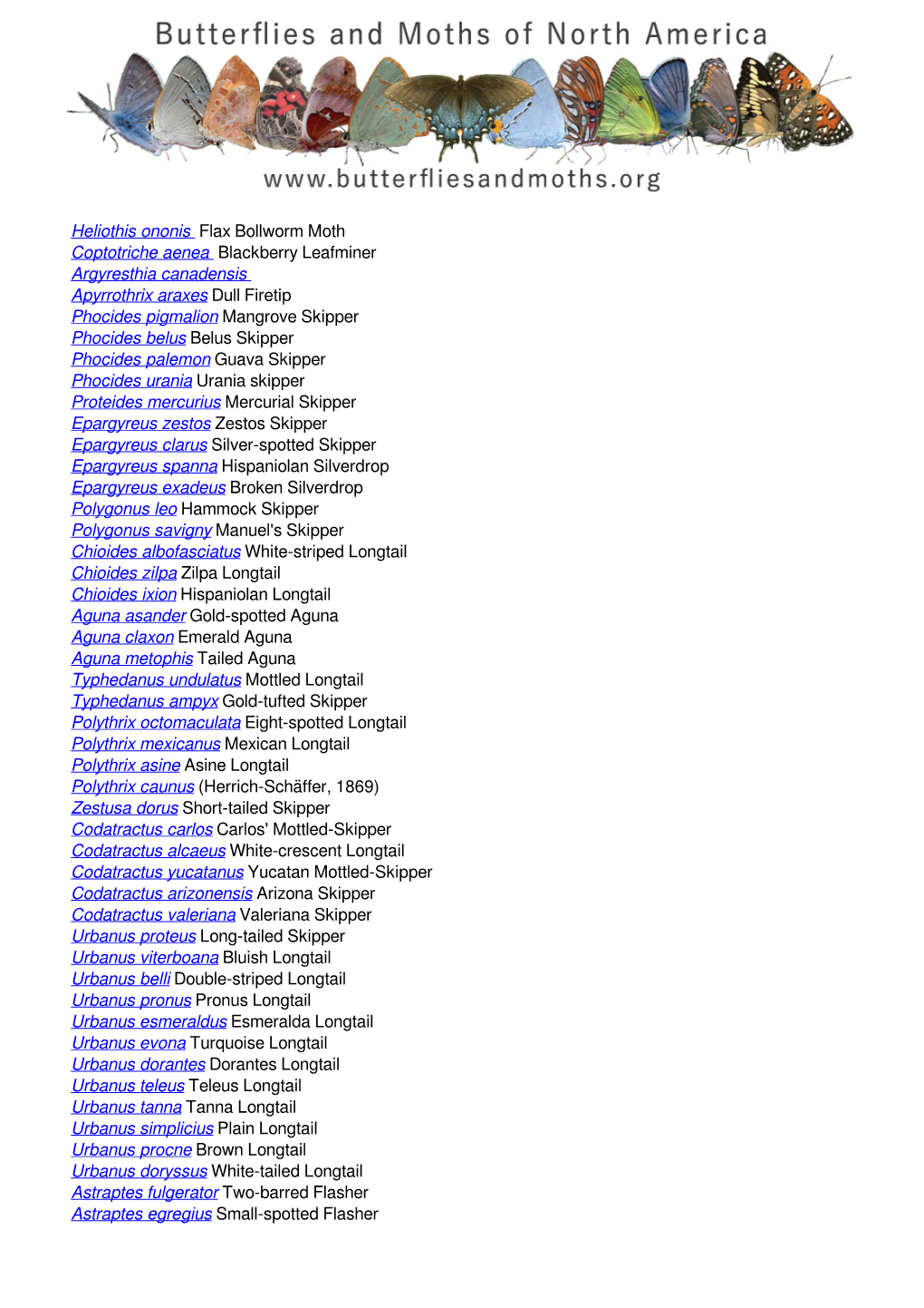 Butterflies and Moths of Siskiyou County, California, United States