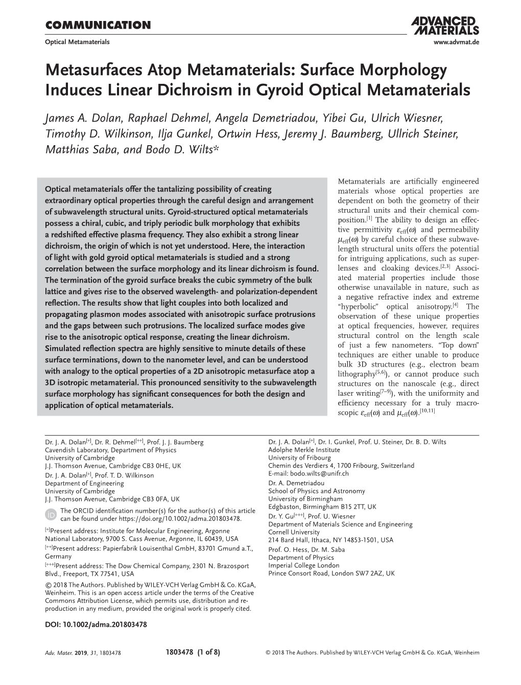 Surface Morphology Induces Linear Dichroism in Gyroid Optical Metamaterials