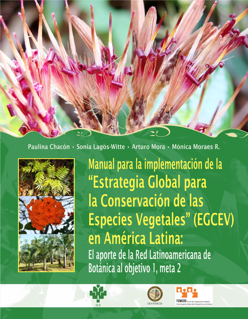 Manual Para La Implementación De La Estrategia Global Para La