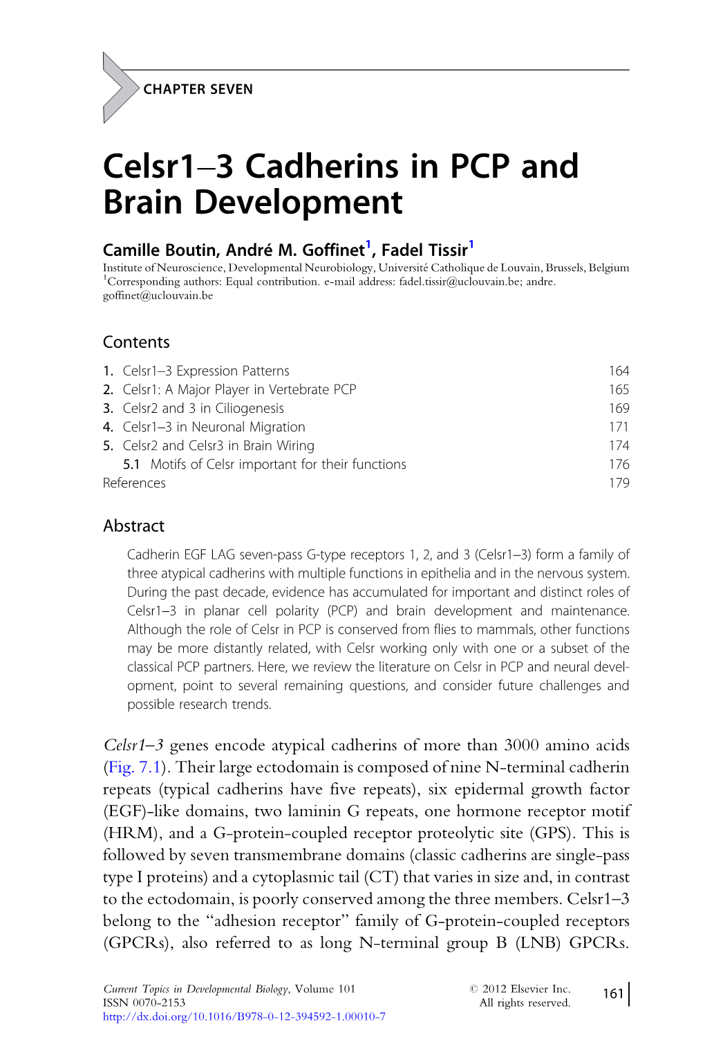 Celsr1-3 Cadherins in PCP and Brain Development