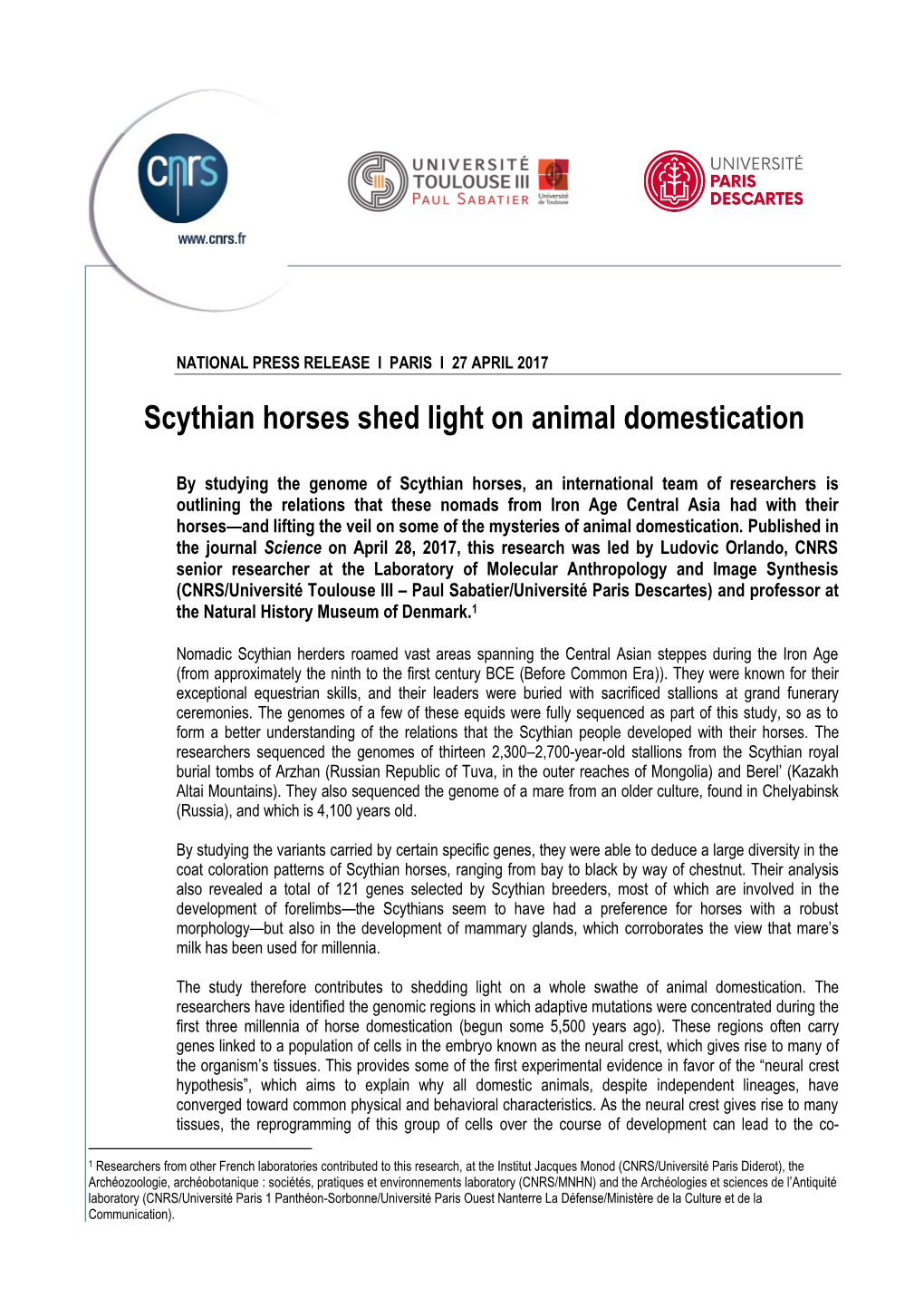 Scythian Horses Shed Light on Animal Domestication