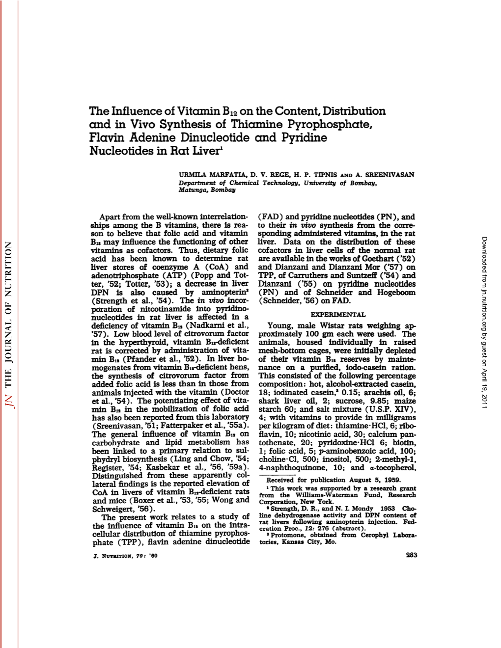 The Influence of Vitamin B12on the Content, Distribution and in Vivo