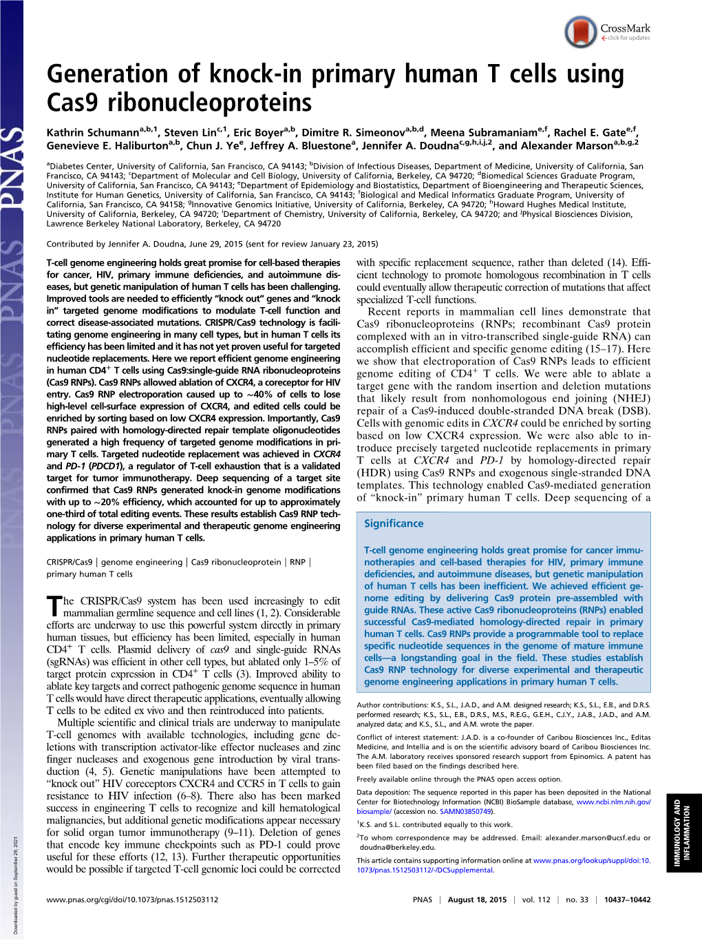 Generation of Knock-In Primary Human T Cells Using Cas9 Ribonucleoproteins