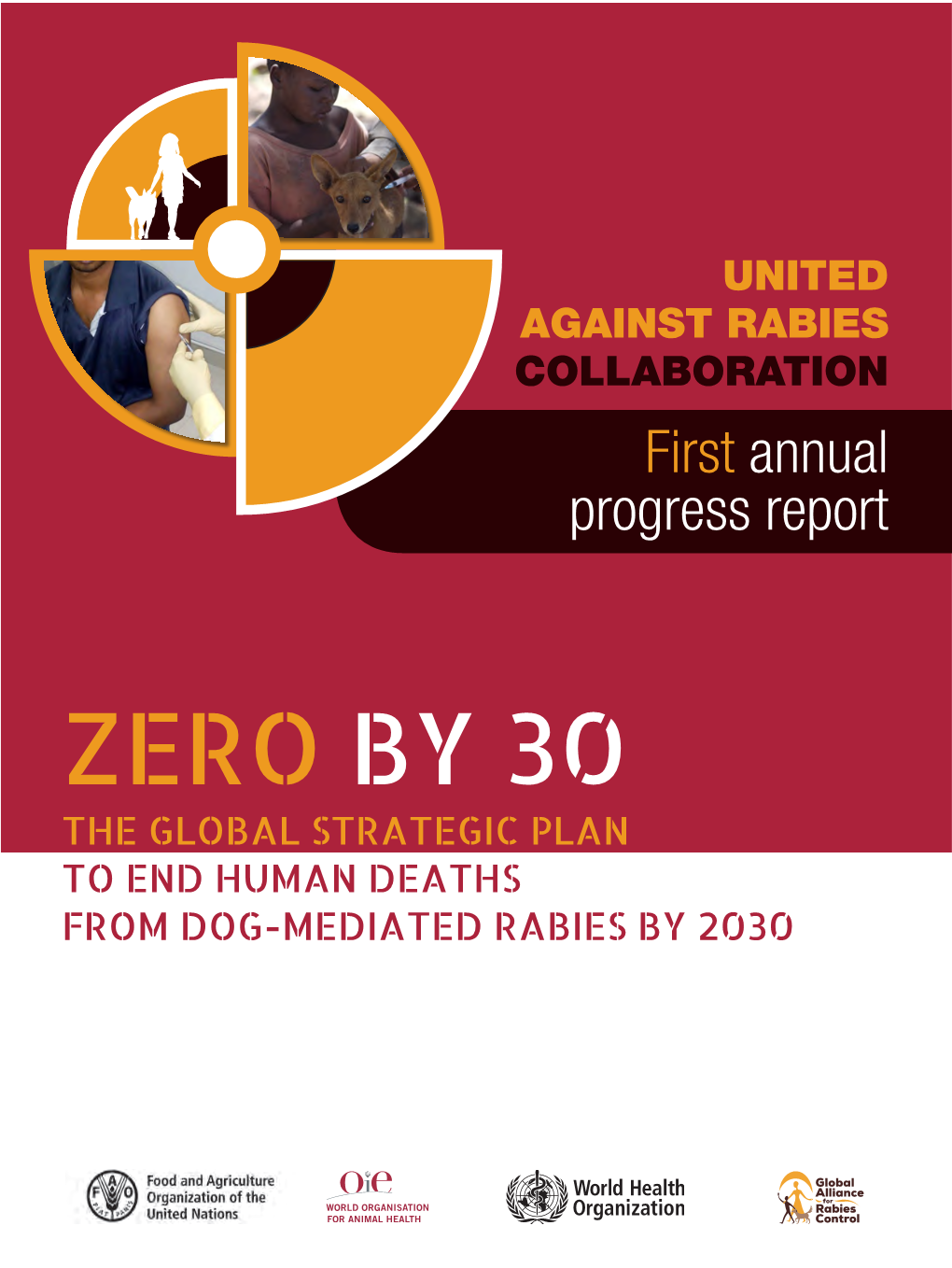 Global Strategic Plan to End Human Deaths from Dog-Mediated Rabies by 2030