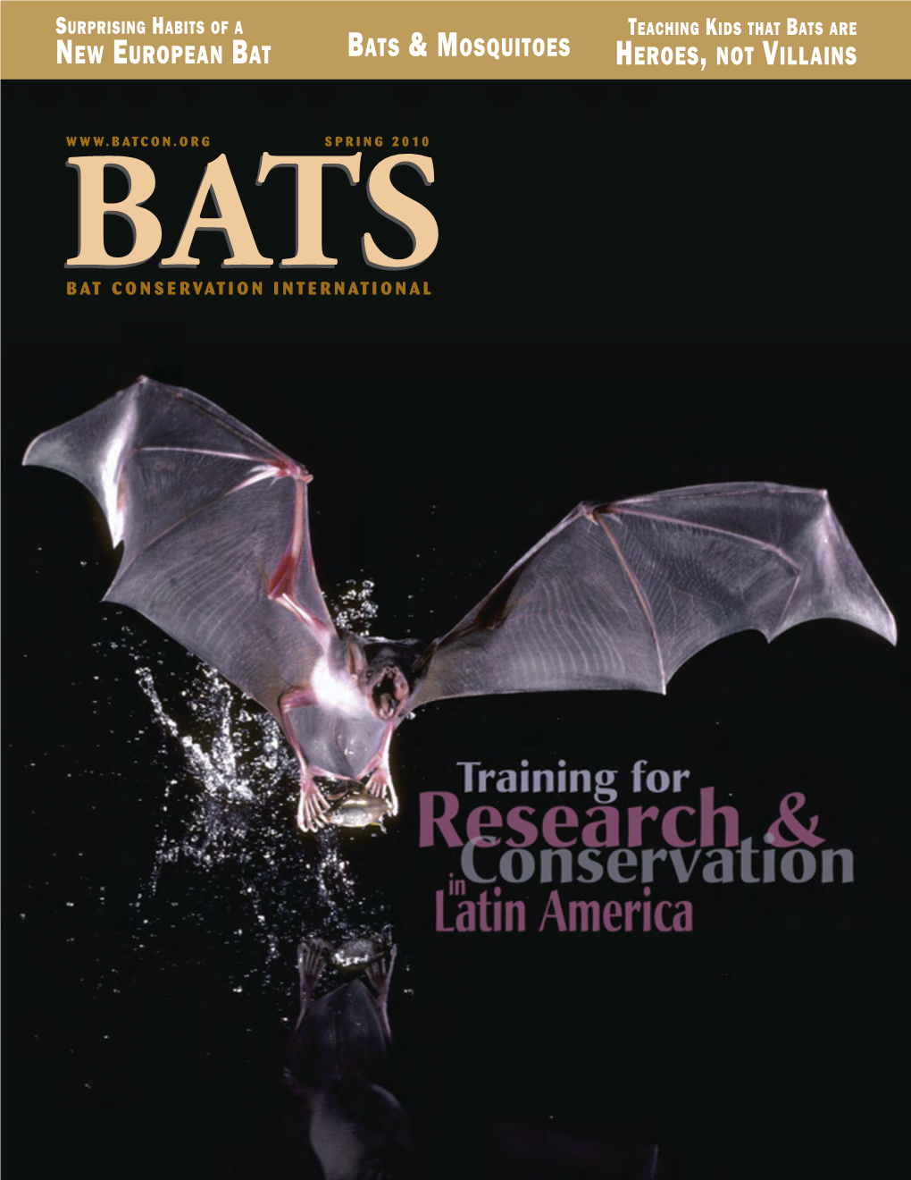 New European Bat Heroes, Not Villains Bats & Mosquitoes