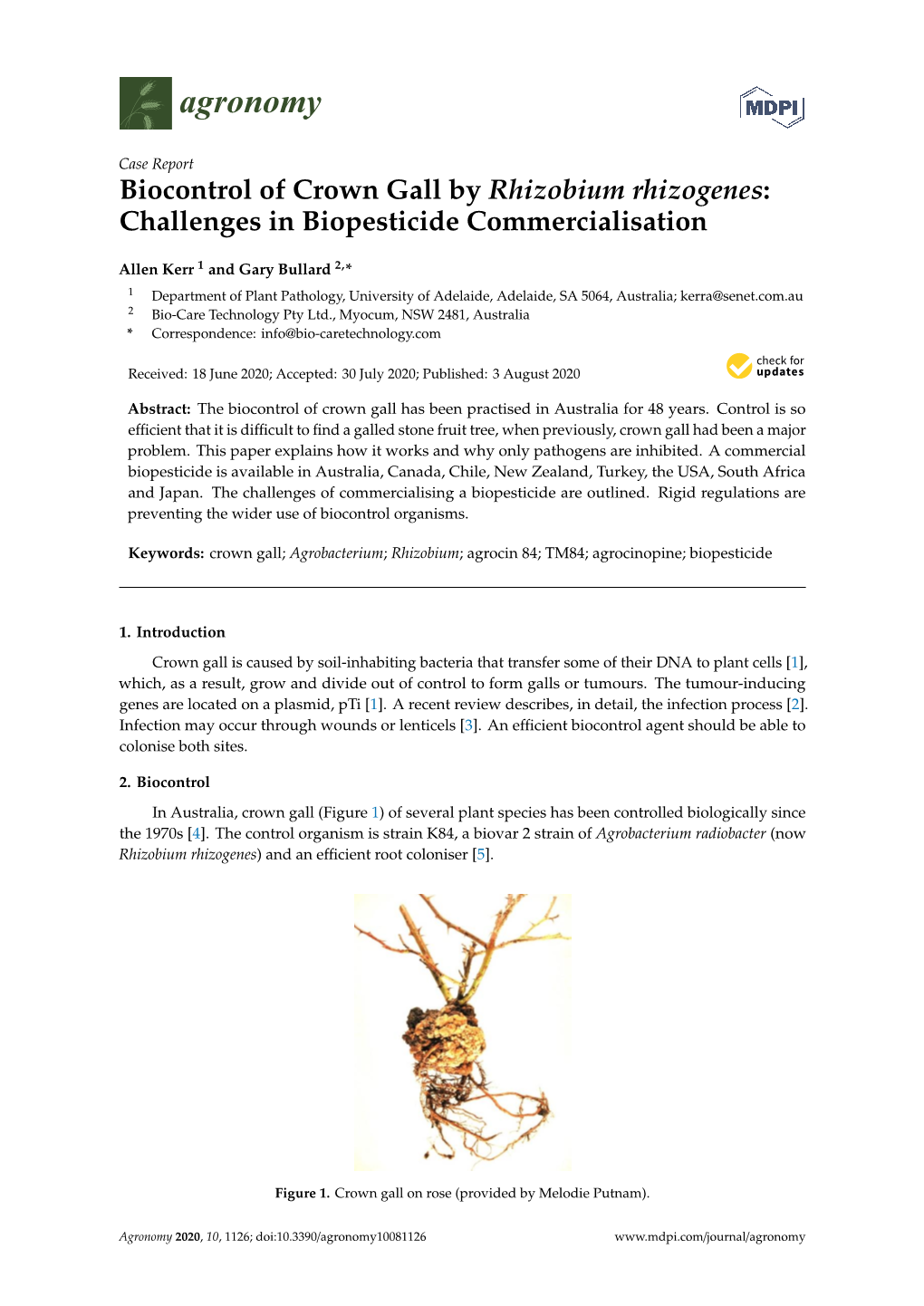 Biocontrol of Crown Gall by Rhizobium Rhizogenes