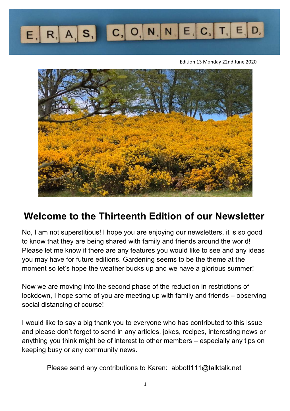The Thirteenth Edition of Our Newsletter
