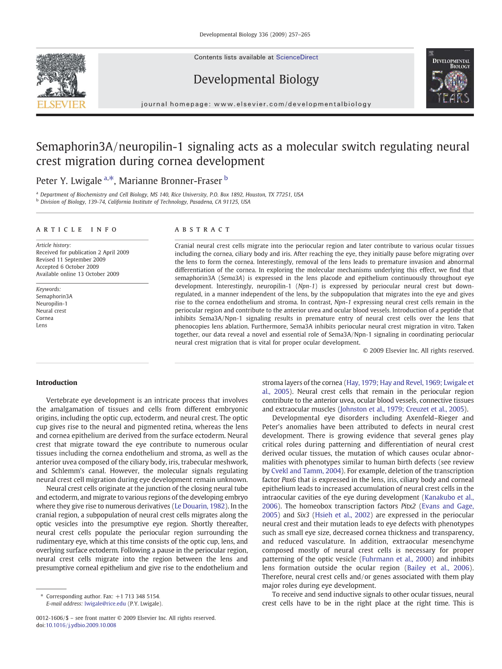 Semaphorin3a/Neuropilin-1 Signaling Acts As a Molecular Switch Regulating Neural Crest Migration During Cornea Development