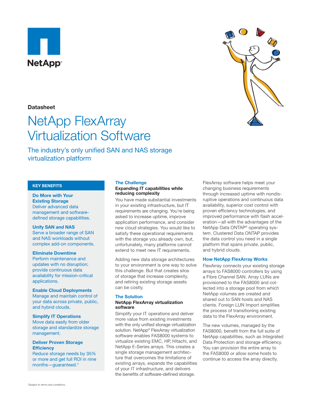 Netapp Datasheet