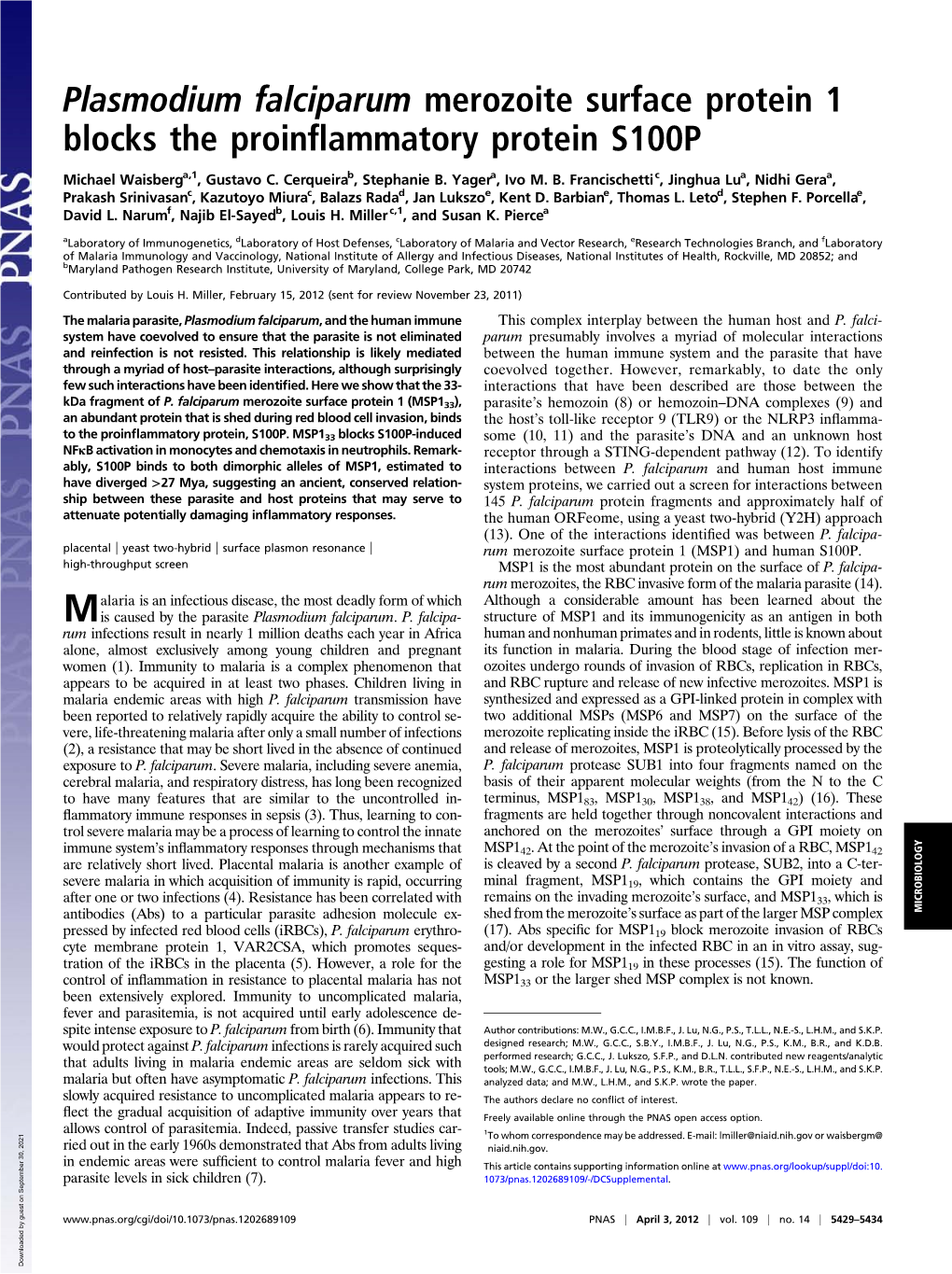 Plasmodium Falciparum Merozoite Surface Protein 1 Blocks the Proinﬂammatory Protein S100P