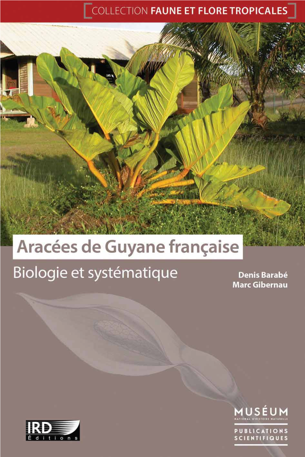 Aracées De Guyane Française : Biologie Et Systématique