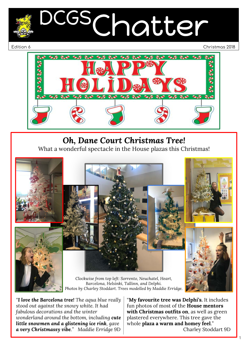 Oh, Dane Court Christmas Tree! What a Wonderful Spectacle in the House Plazas This Christmas!