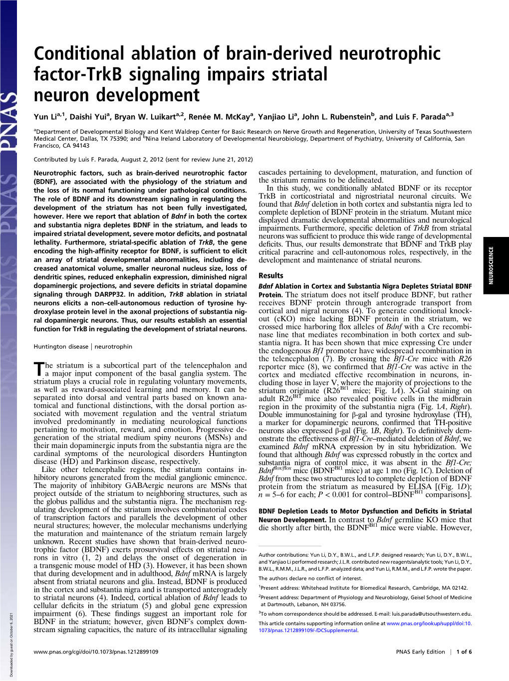 Conditional Ablation of Brain-Derived Neurotrophic Factor-Trkb Signaling Impairs Striatal Neuron Development