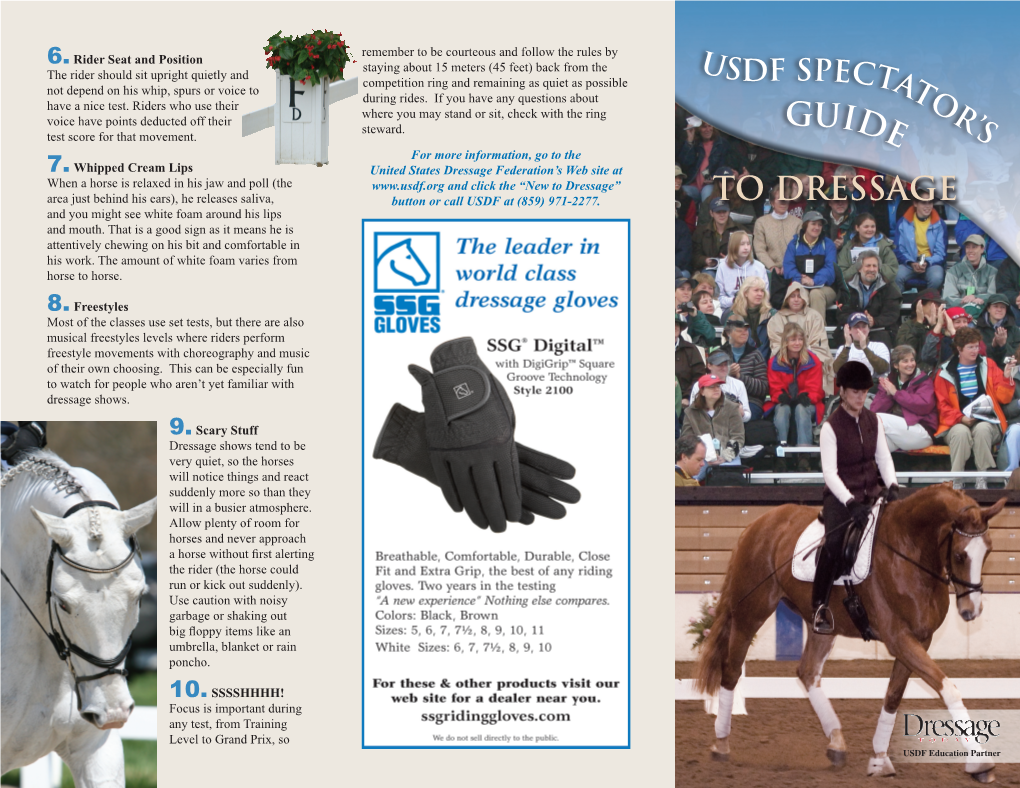 Guide to Dressage