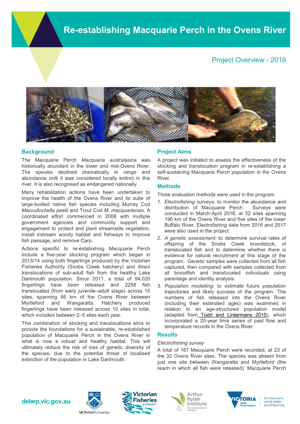 Re-Establishing Macquarie Perch in the Ovens River Fact Sheet