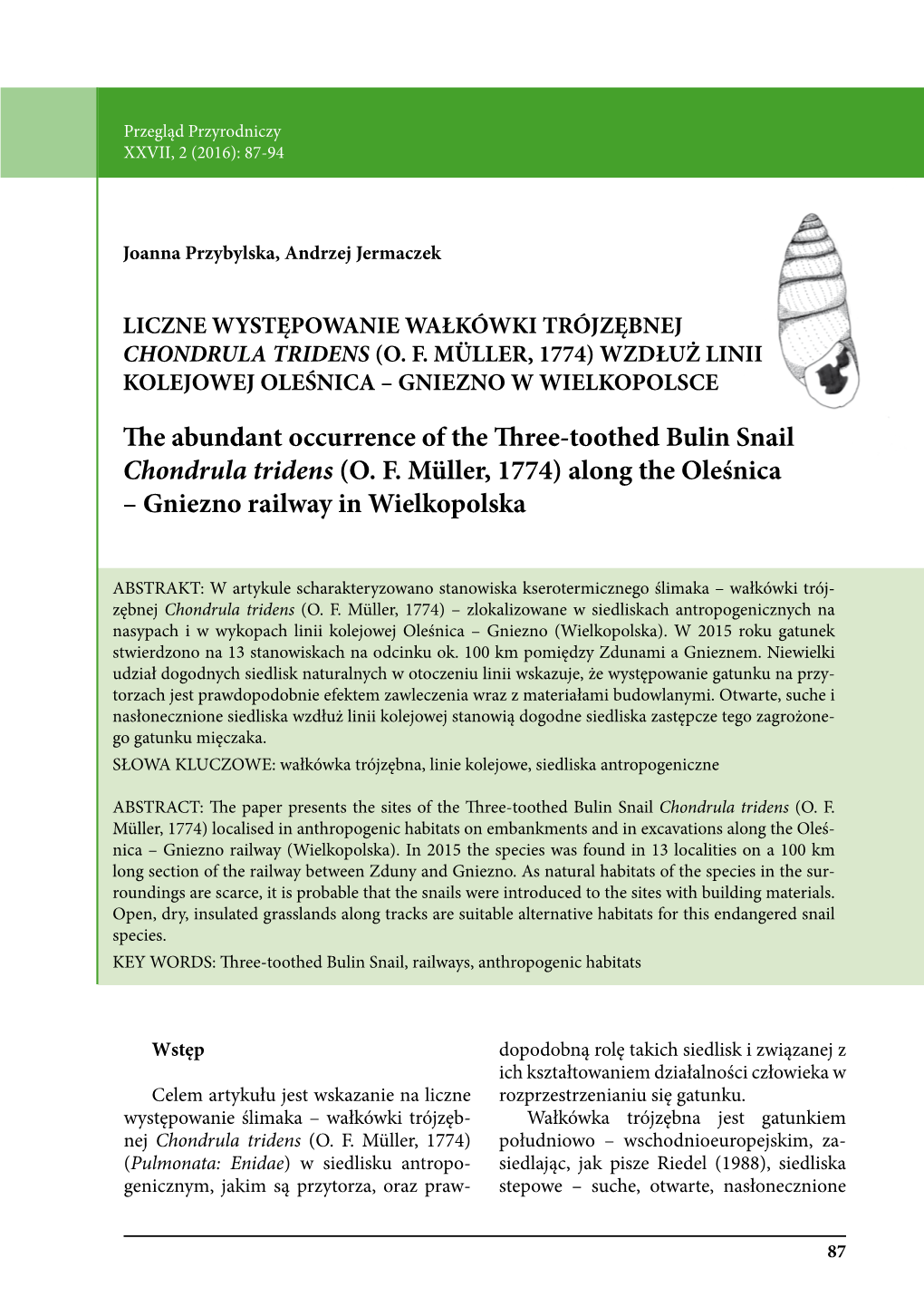 The Abundant Occurrence of the Three-Toothed Bulin Snail Chondrula Tridens (O