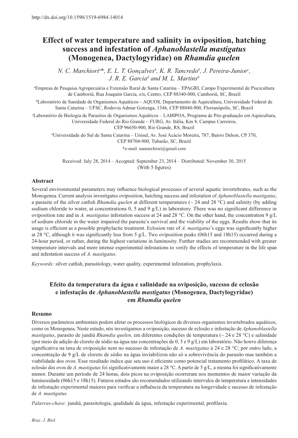 (Monogenea, Dactylogyridae) on Rhamdia Quelen N