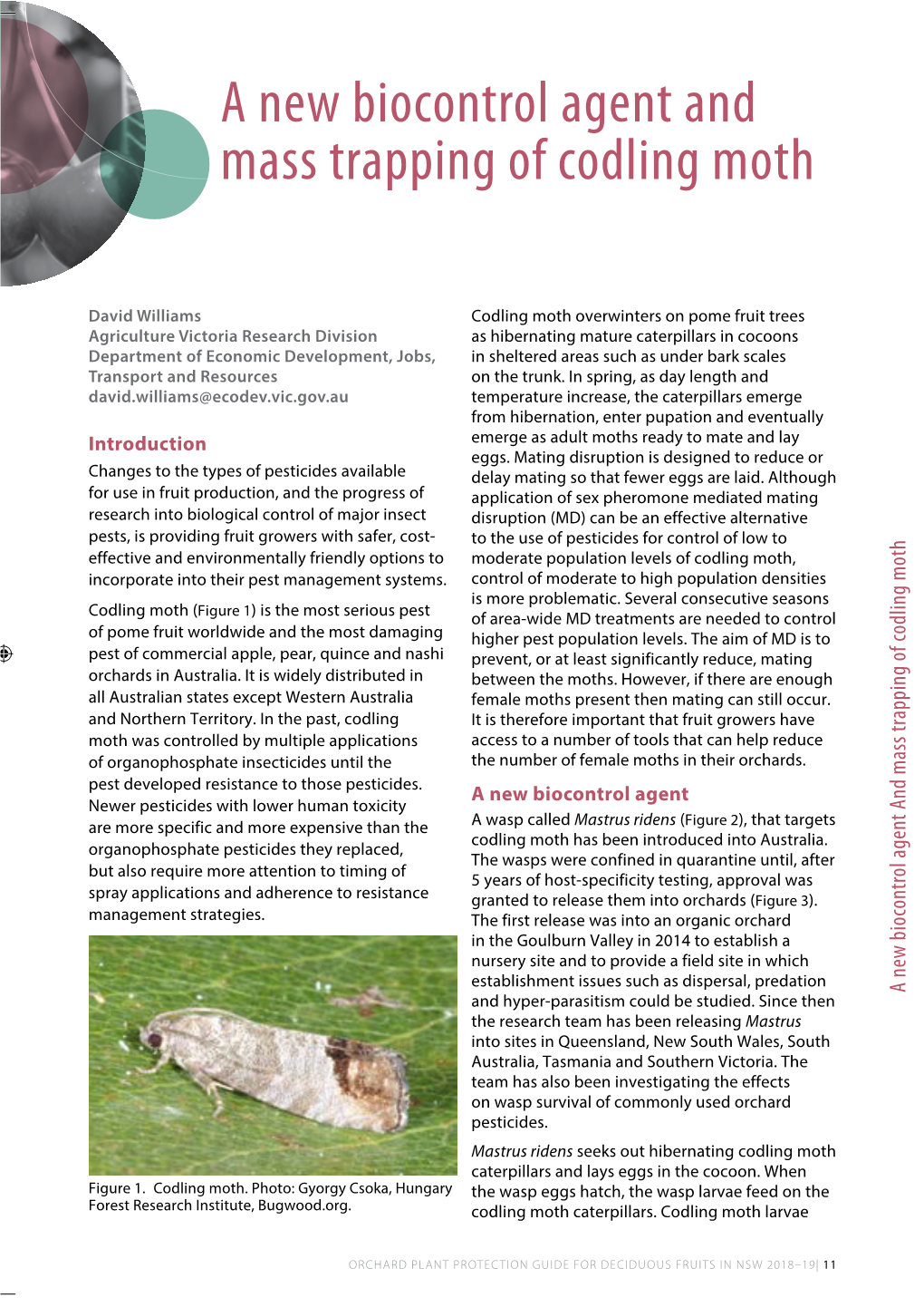 A New Biocontrol Agent and Mass Trapping of Codling Moth