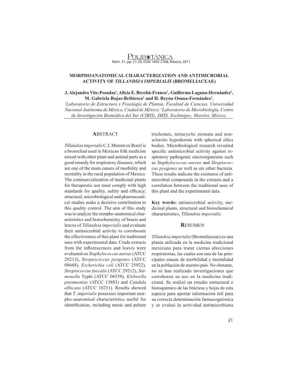 Morphoanatomical Characterization and Antimicrobial Activity of Tillandsia Imperialis (Bromeliaceae)