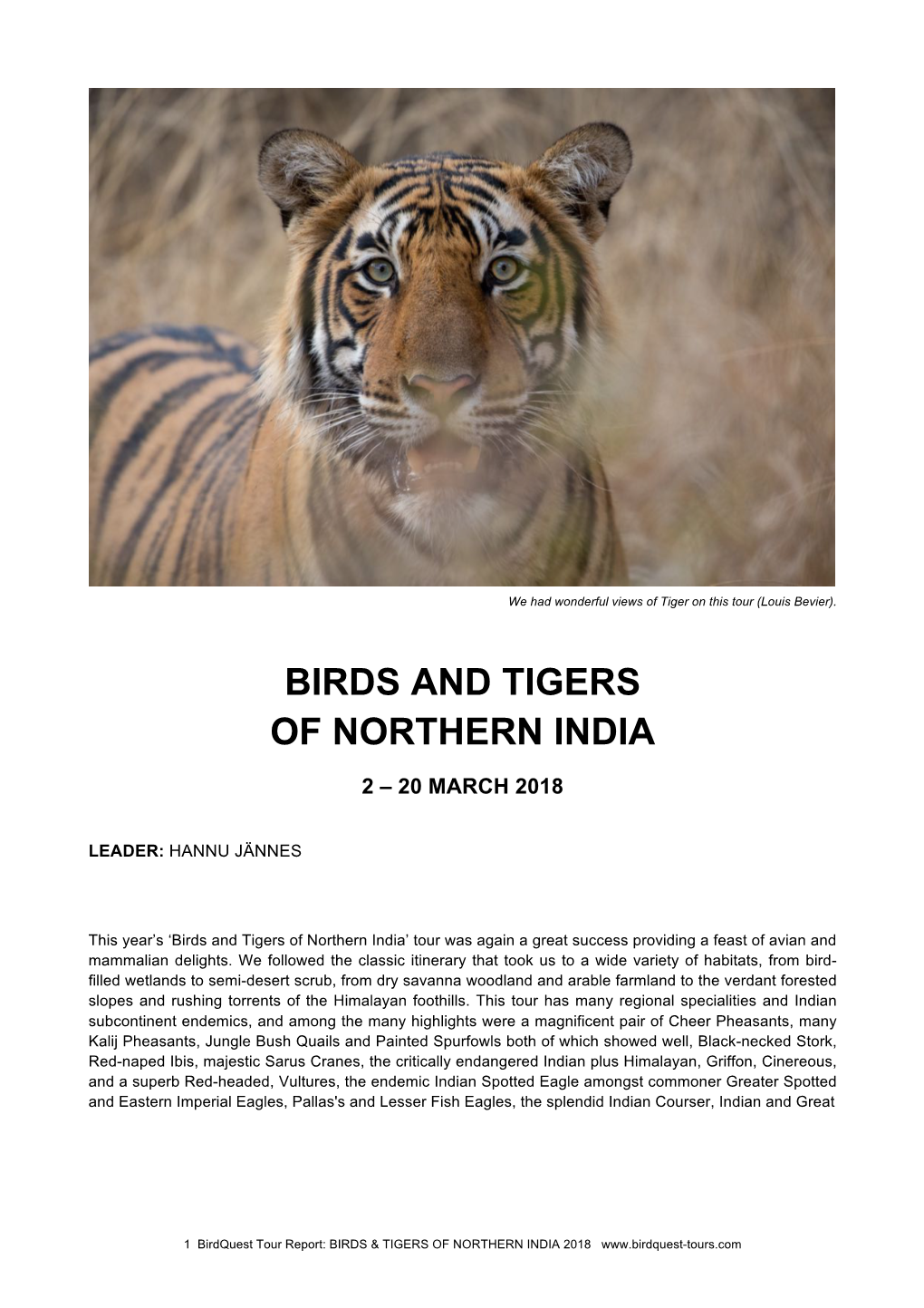 Birds and Tigers of Northern India