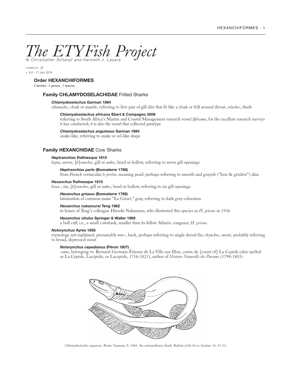 Etyfish Hexanchiform