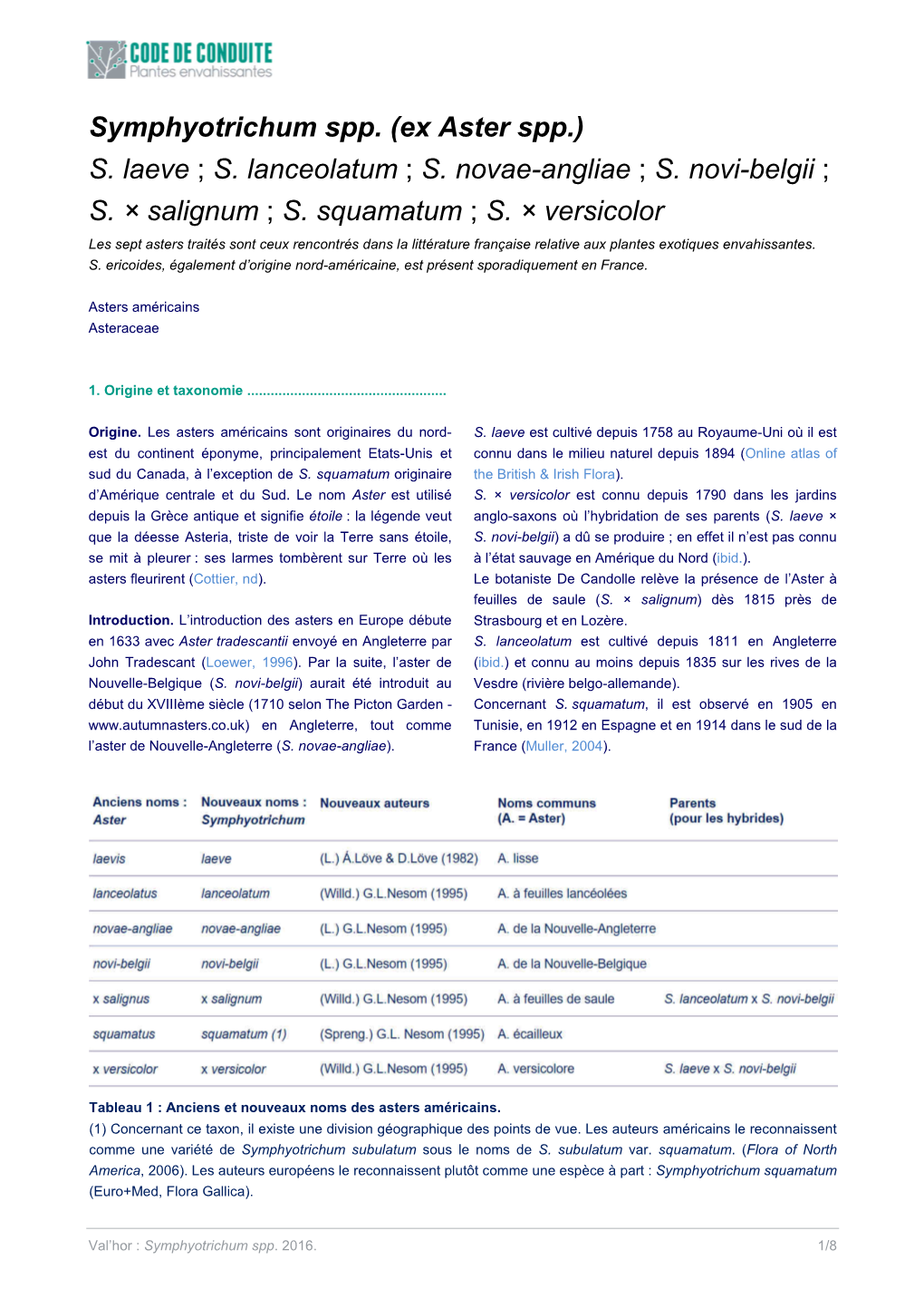 (Ex Aster Spp.) S. Laeve ; S. Lanceolatum ; S. Novae-Angliae ; S