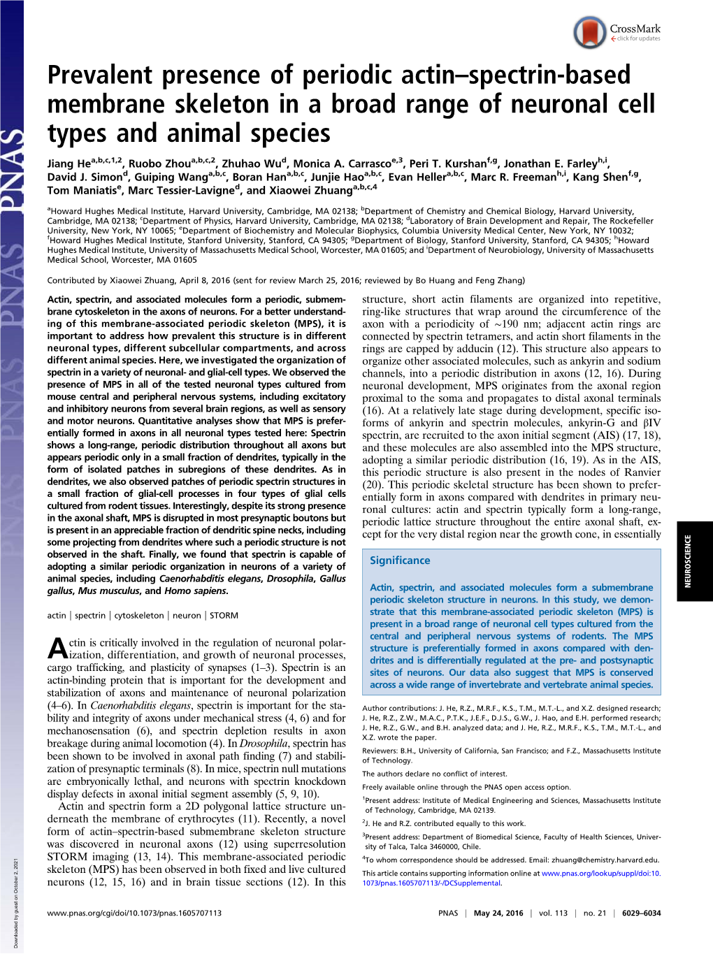 Prevalent Presence of Periodic Actin–Spectrin-Based Membrane Skeleton in a Broad Range of Neuronal Cell Types and Animal Species