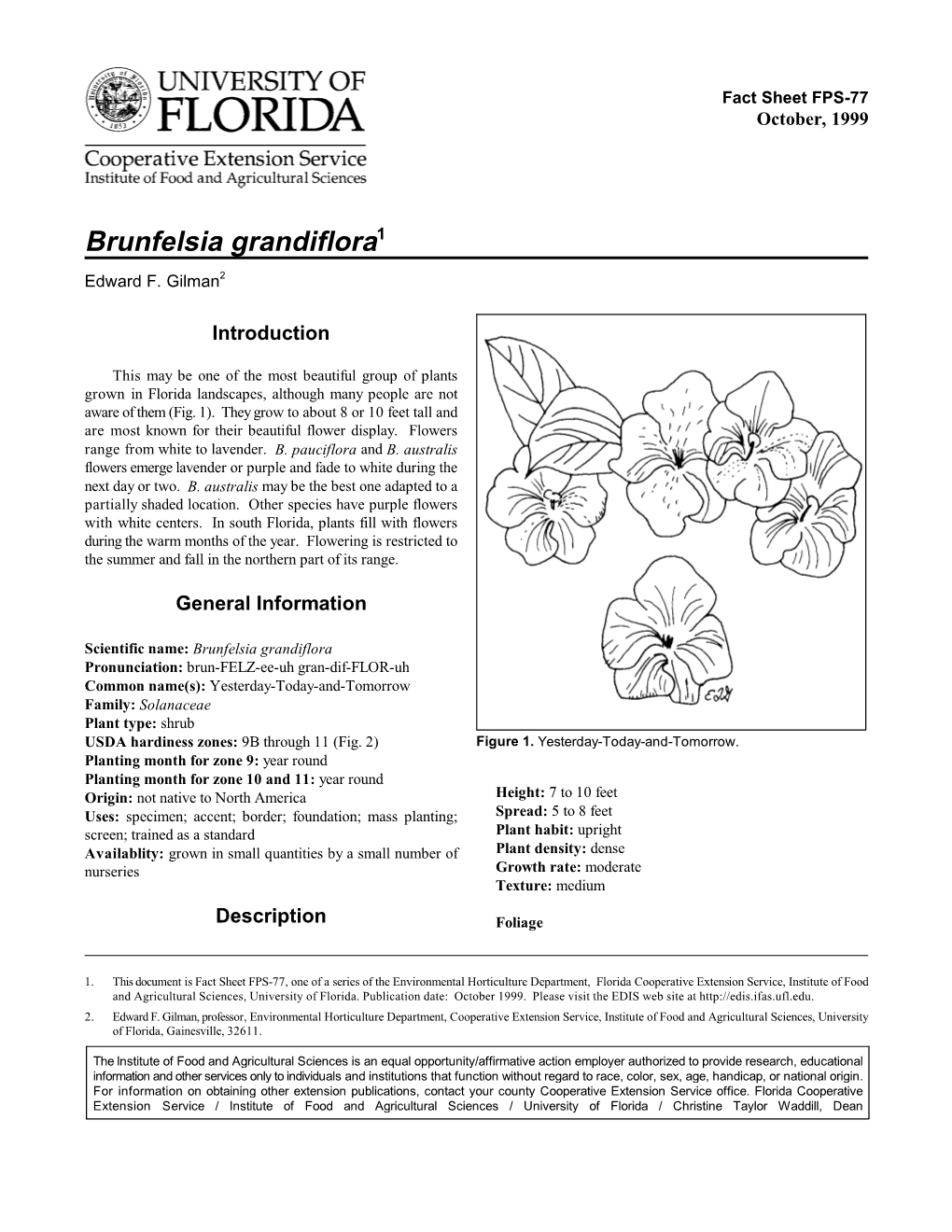 Brunfelsia Grandiflora1