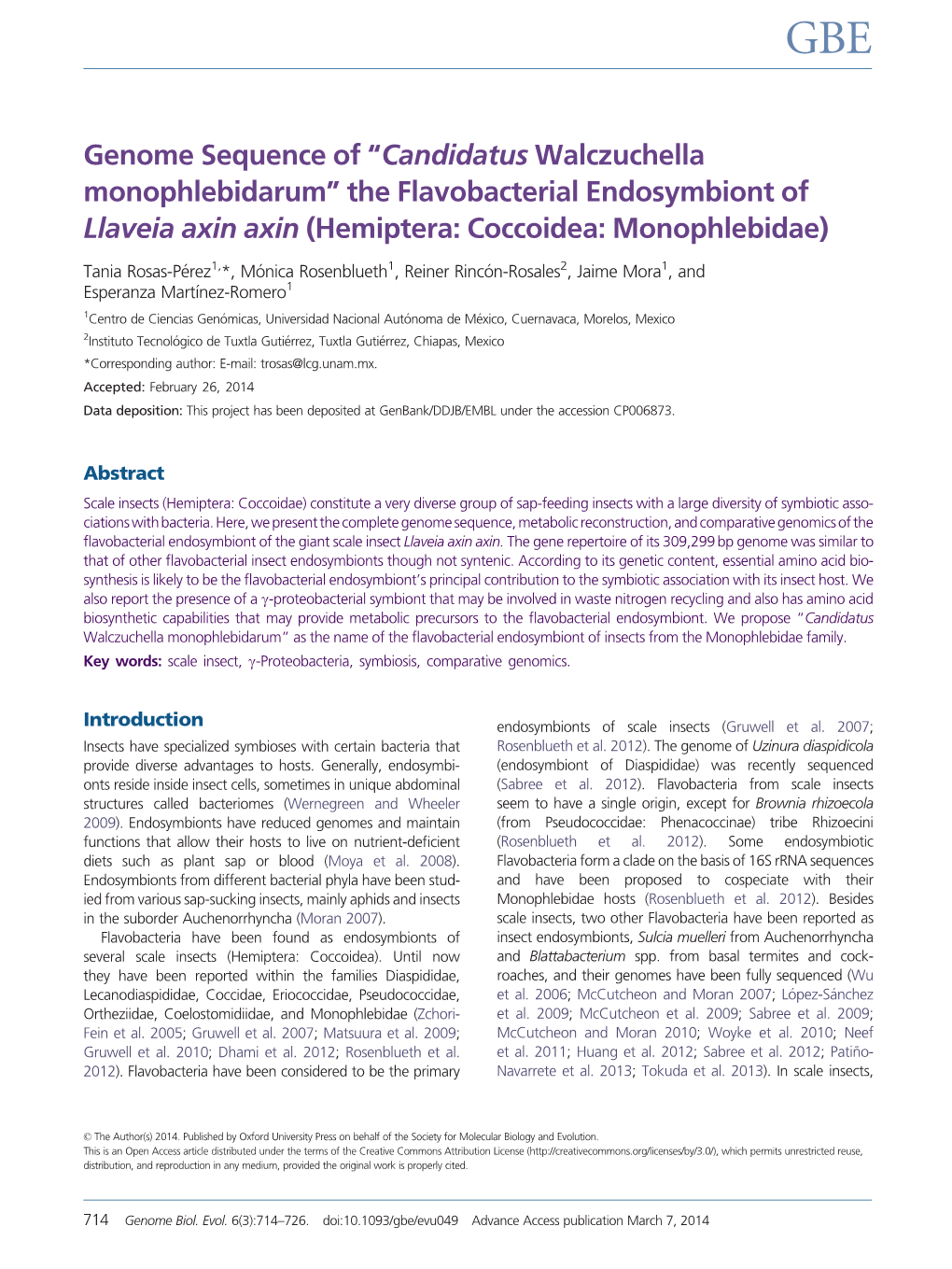 Genome Sequence of “Candidatus Walczuchella Monophlebidarum” the Flavobacterial Endosymbiont of Llaveia Axin Axin (Hemiptera: Coccoidea: Monophlebidae)