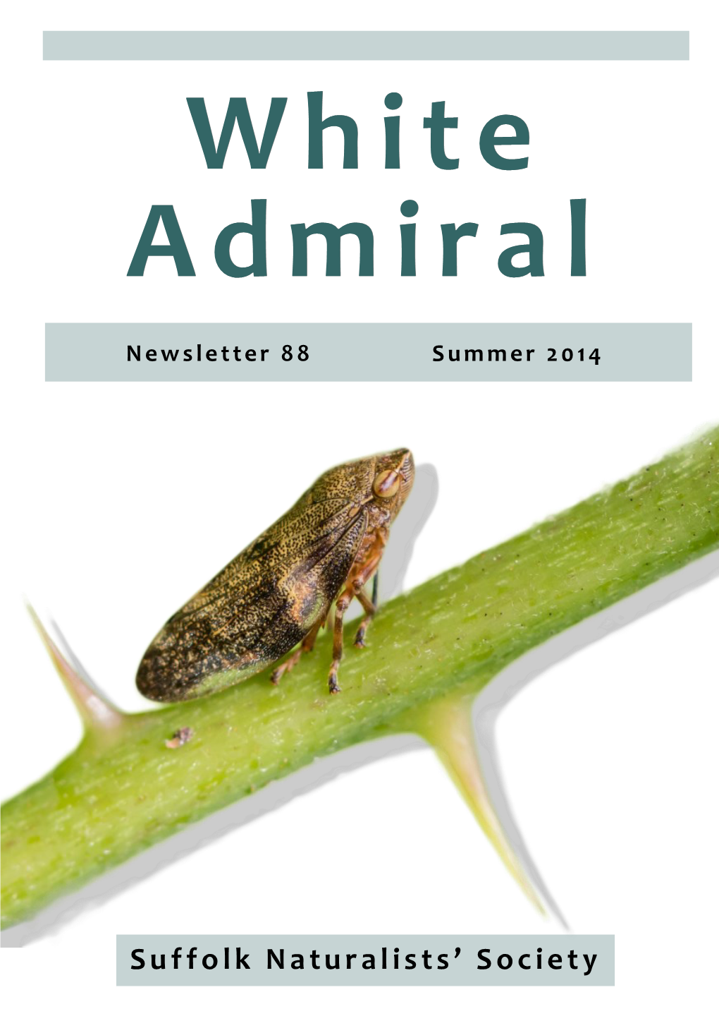 White Admiral Newsletter