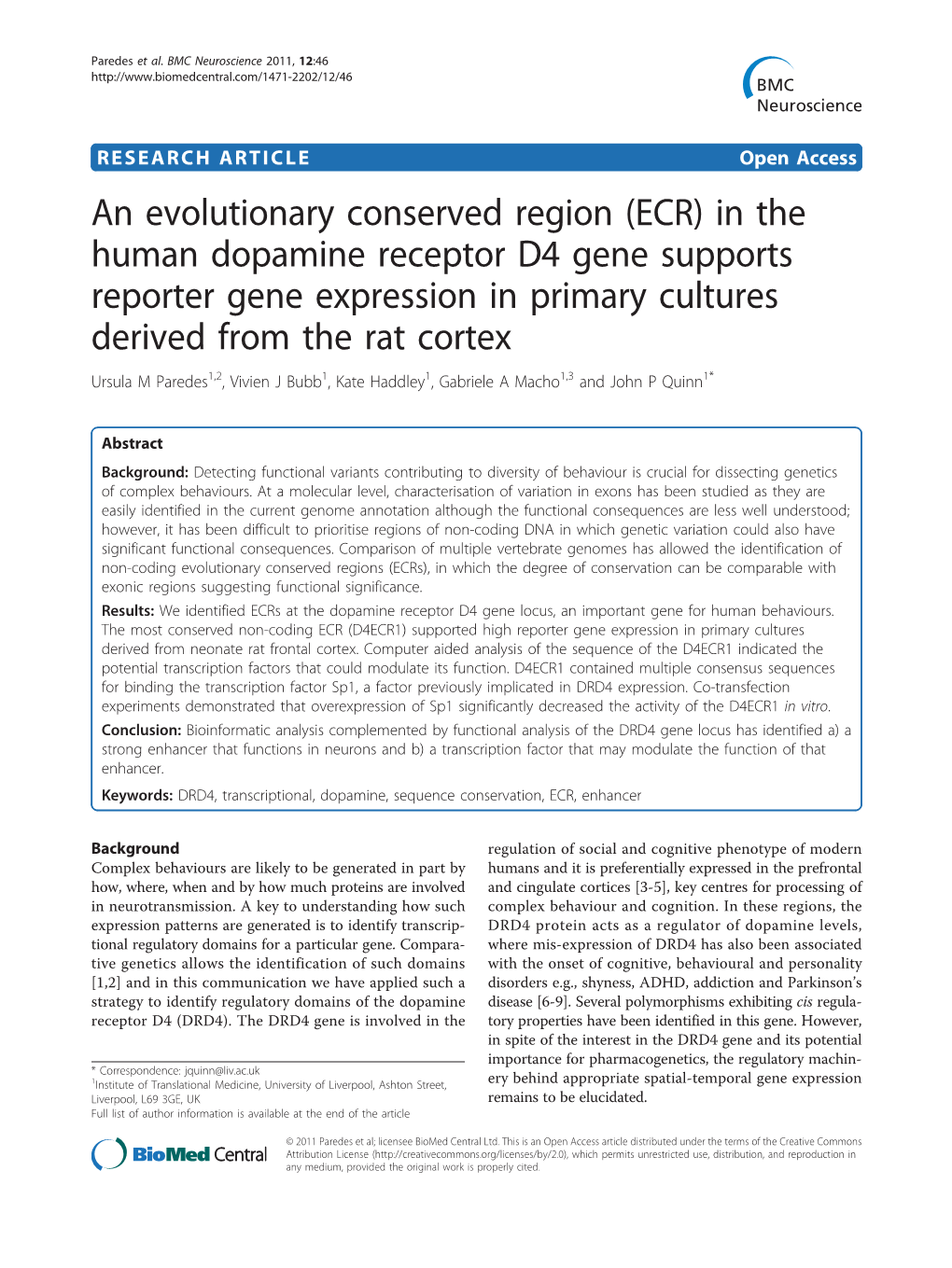 An Evolutionary Conserved Region (ECR) in the Human Dopamine Receptor D4 Gene Supports Reporter Gene Expression in Primary Cultu