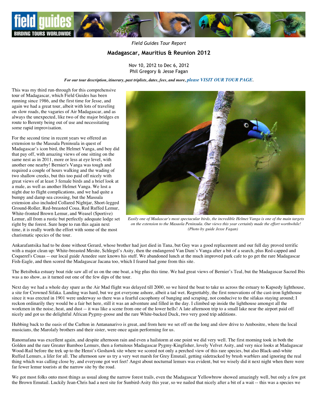 FIELD GUIDES BIRDING TOURS: Madagascar, Mauritius & Reunion 2012