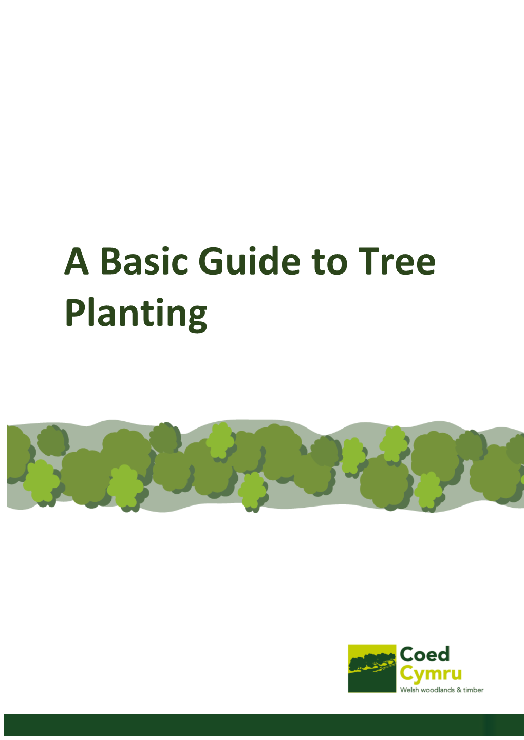 A Basic Guide to Tree Planting