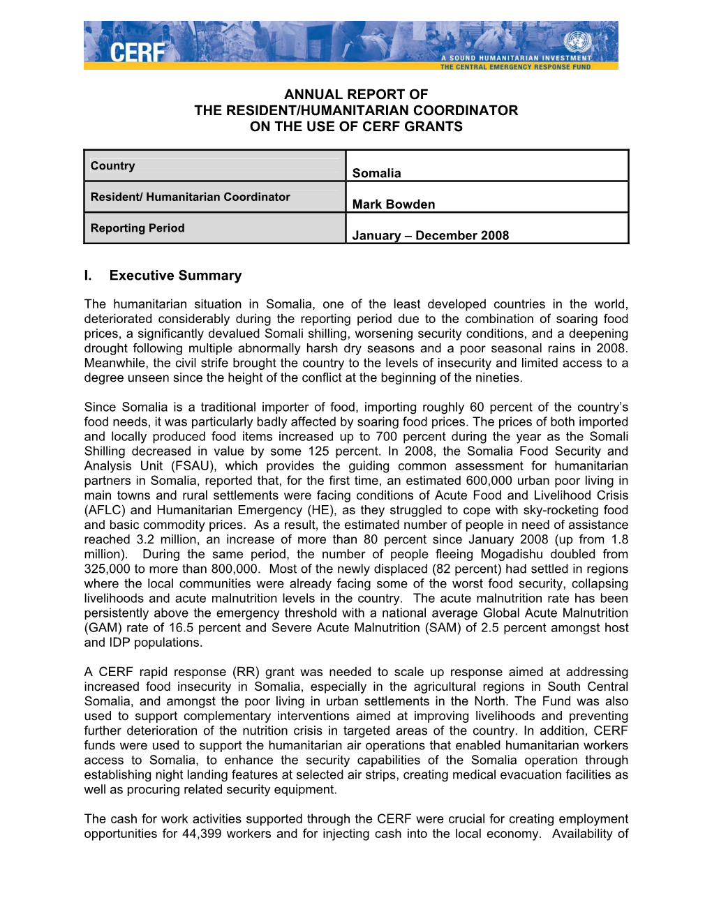 CERF Reporting Template