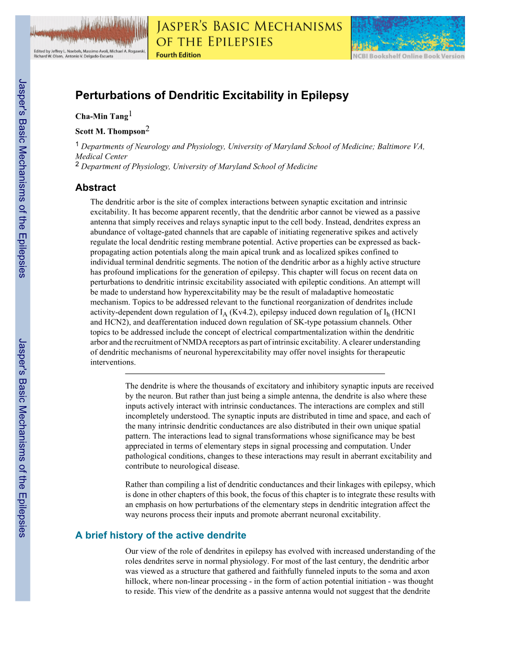 Perturbations of Dendritic Excitability in Epilepsy