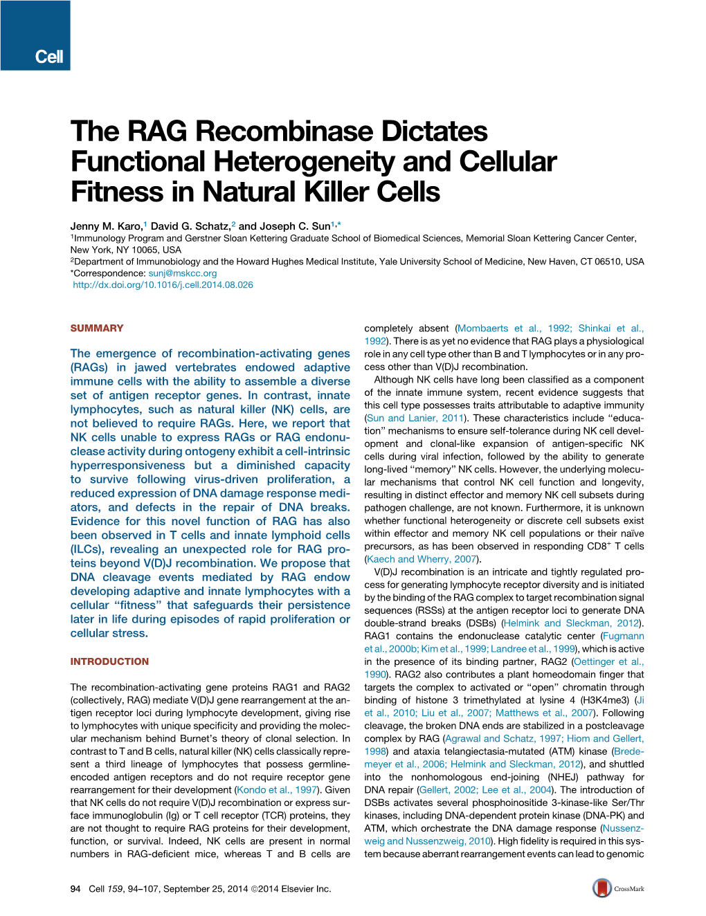 The RAG Recombinase Dictates Functional Heterogeneity and Cellular Fitness in Natural Killer Cells