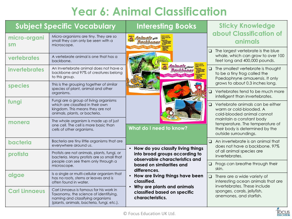 Animal Classification Subject Specific Vocabulary Interesting Books Sticky Knowledge About Classification of Micro-Organi Micro-Organisms Are Tiny