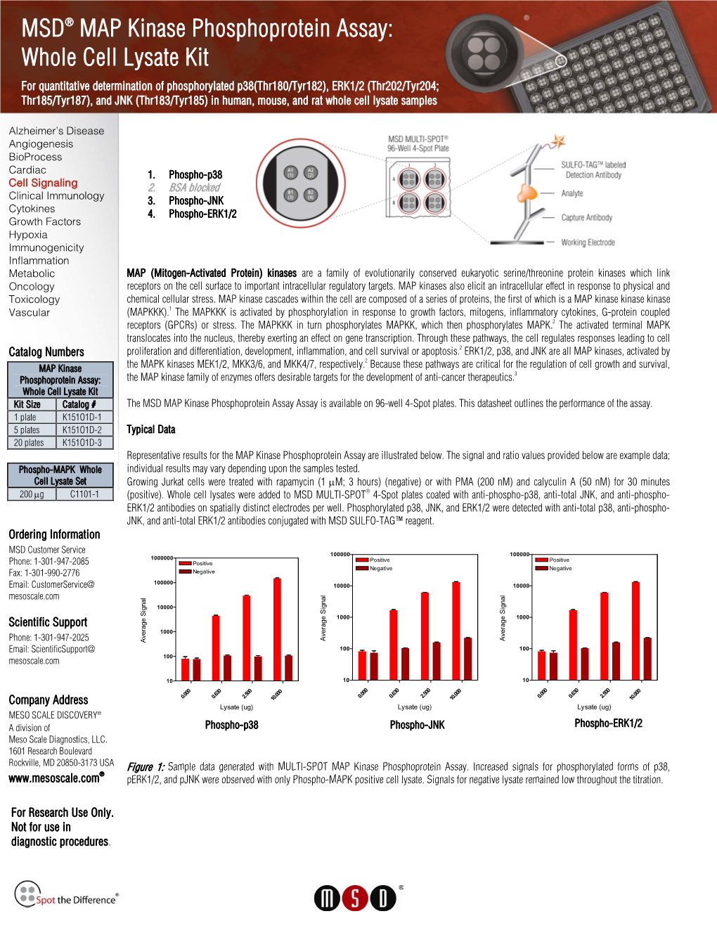 MP Kinase (Phosphoprotein) Assay