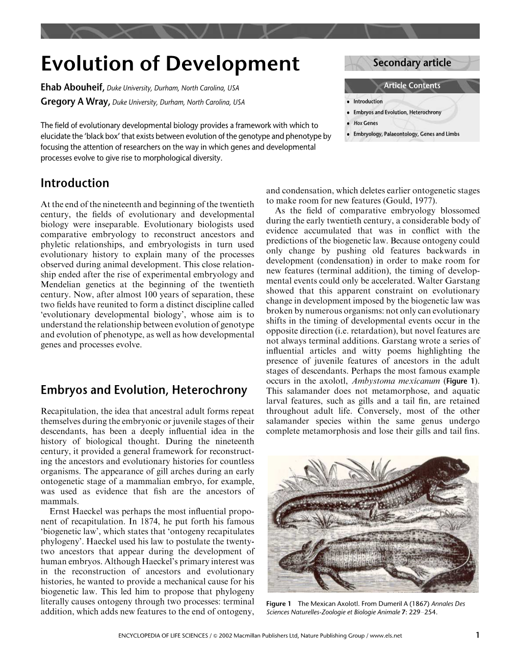 Evolution of Development Secondary Article