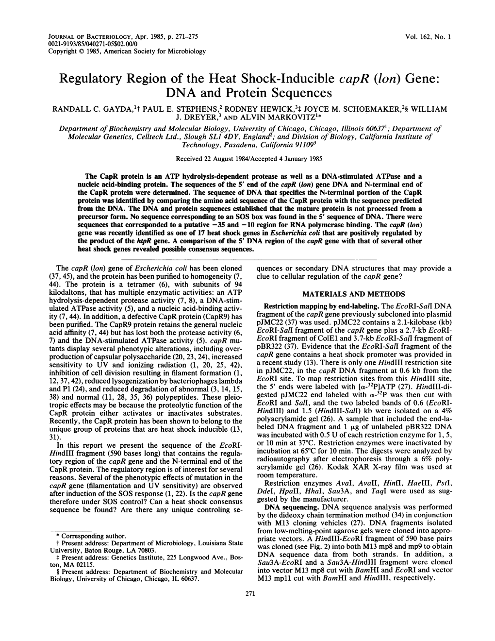 Regulatory Region of the Heat Shock-Inducible Capr (Lon) Gene: DNA and Protein Sequences