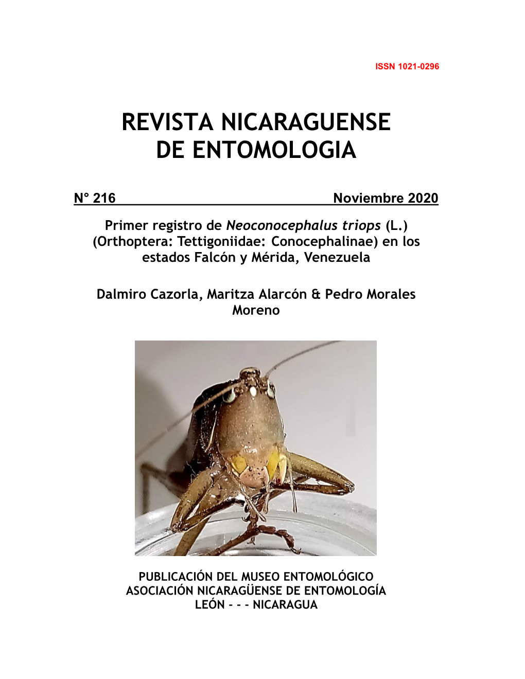 Primer Registro De Neoconocephalus Triops (L.) (Orthoptera: Tettigoniidae: Conocephalinae) En Los Estados Falcón Y Mérida, Venezuela