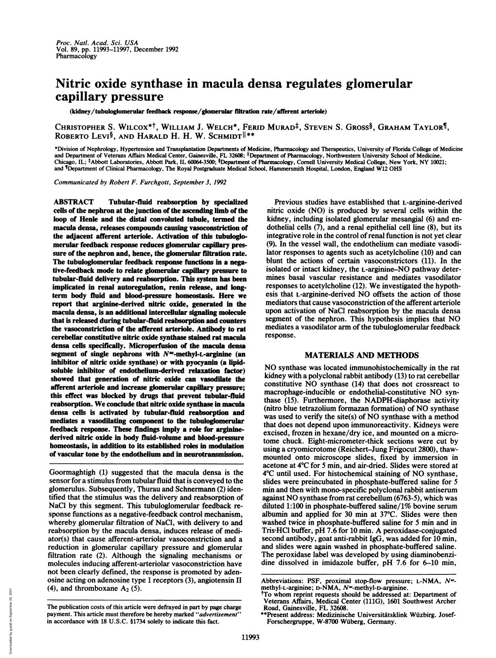 Nitric Oxide Synthase in Macula Densa Regulates Glomerular Capillary