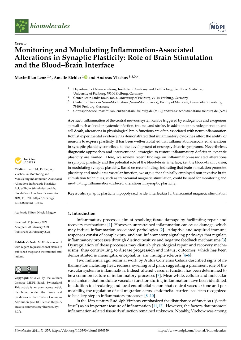 Role of Brain Stimulation and the Blood–Brain Interface