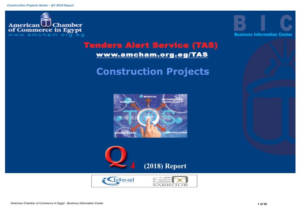 Construction Projects Sector - Q4 2018 Report