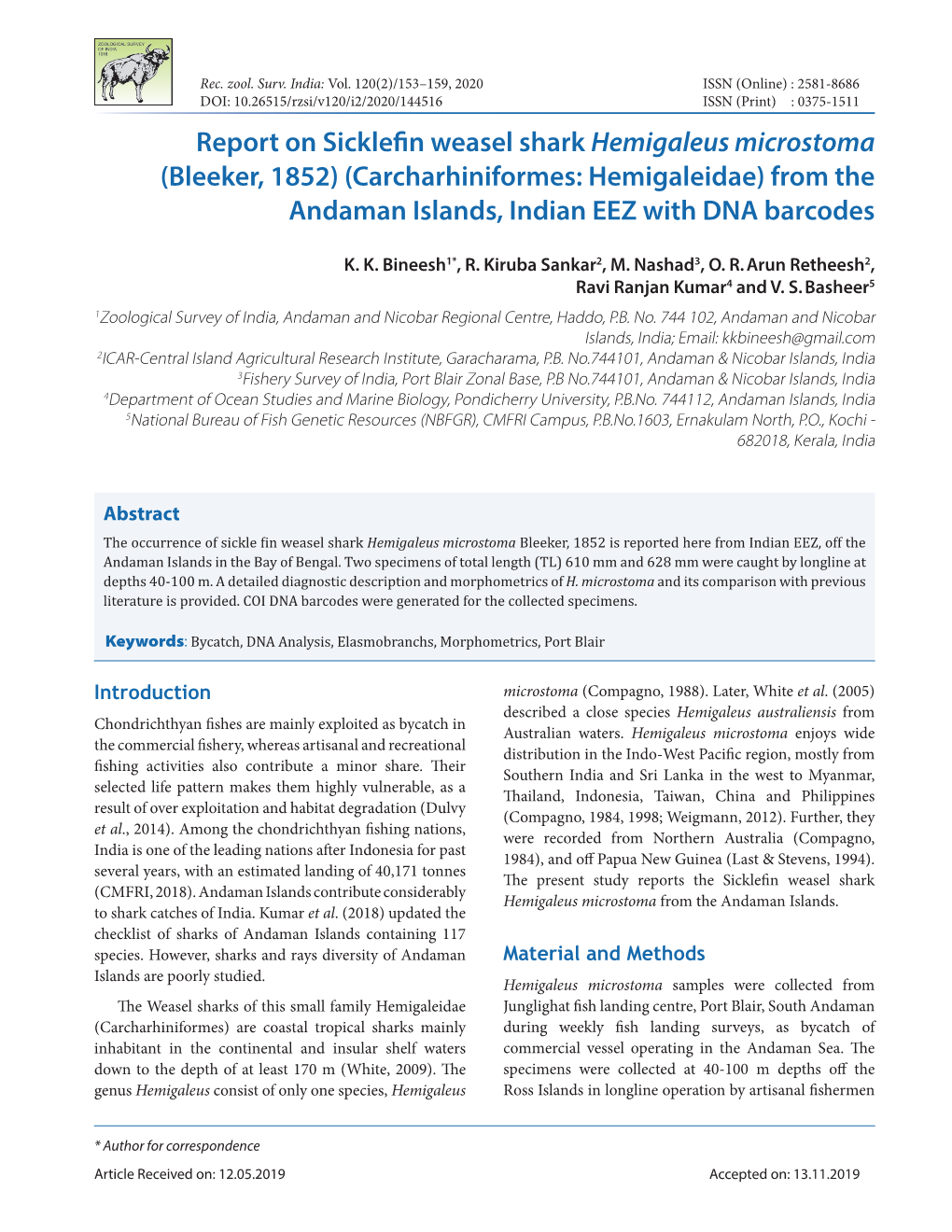 Report on Sicklefin Weasel Shark Hemigaleus Microstoma