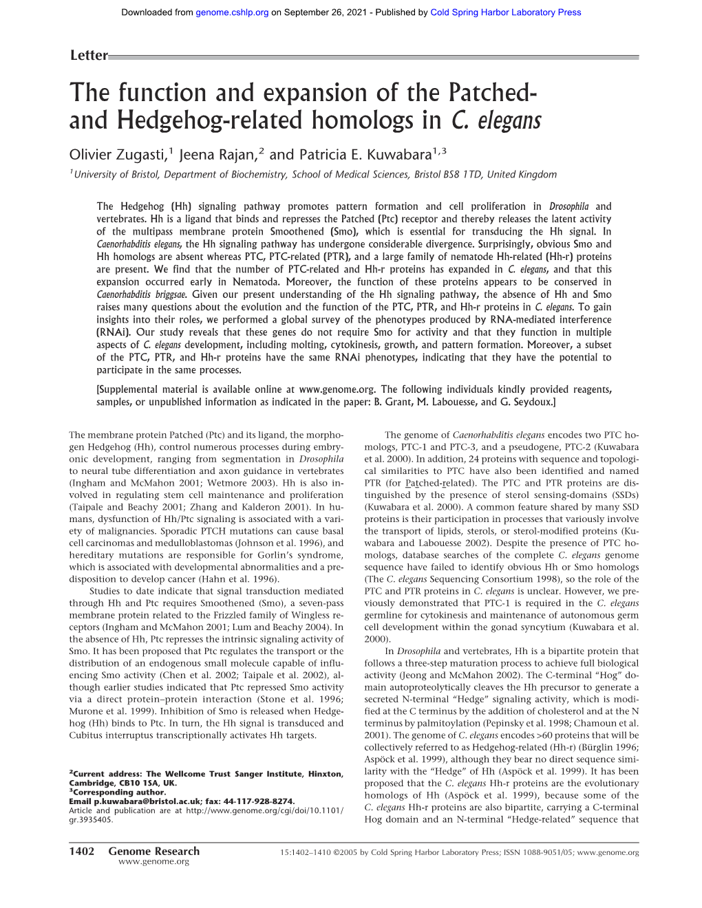 And Hedgehog-Related Homologs in C. Elegans