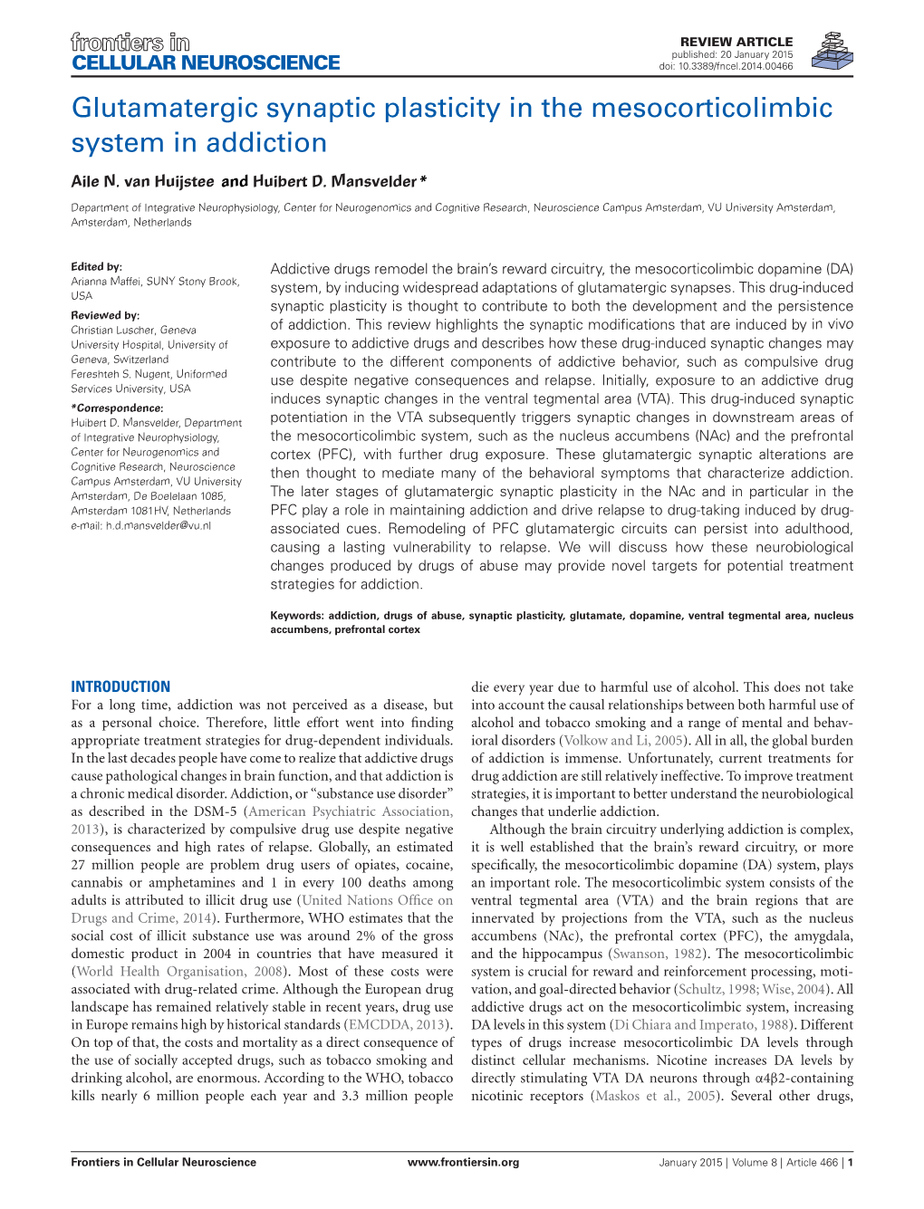 Glutamatergic Synaptic Plasticity in the Mesocorticolimbic System in Addiction