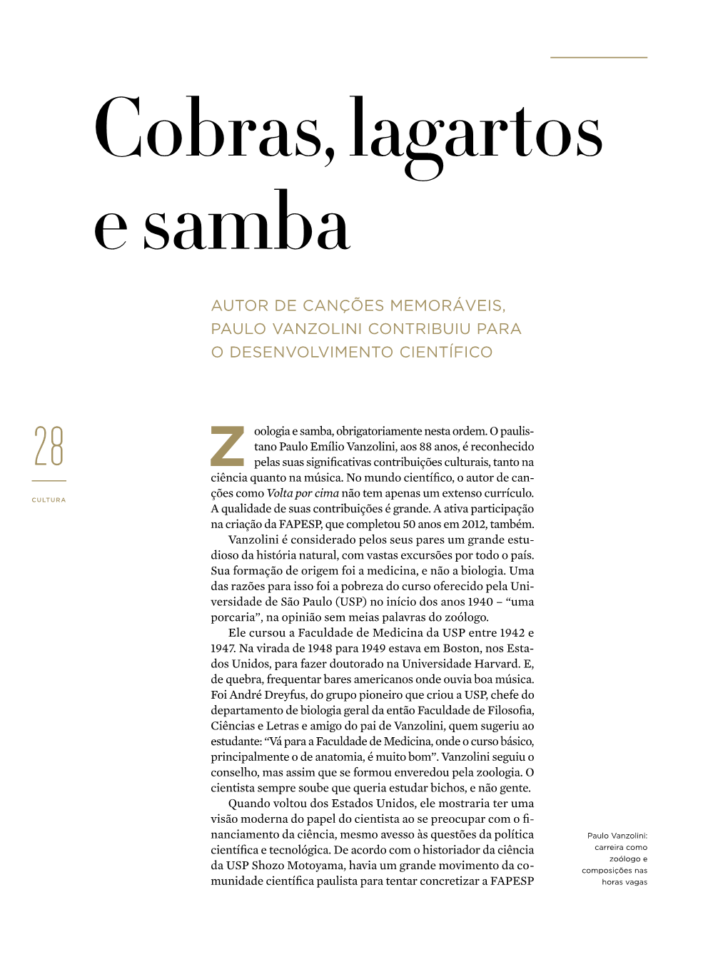 Cobras, Lagartos E Samba