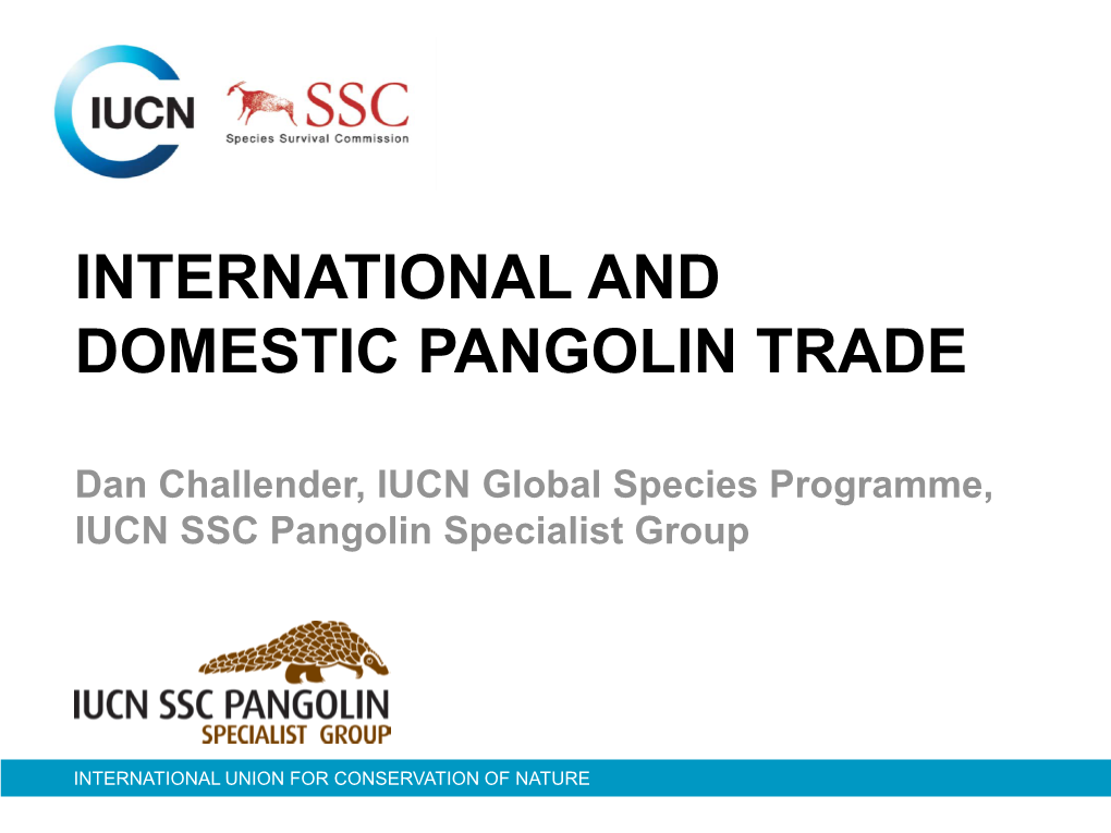 International and Domestic Pangolin Trade